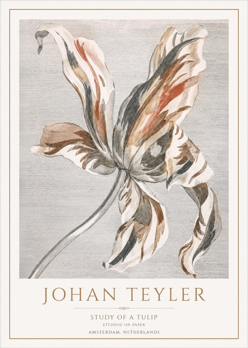 Johan Teyler Study of a Tulip No1 - Poster