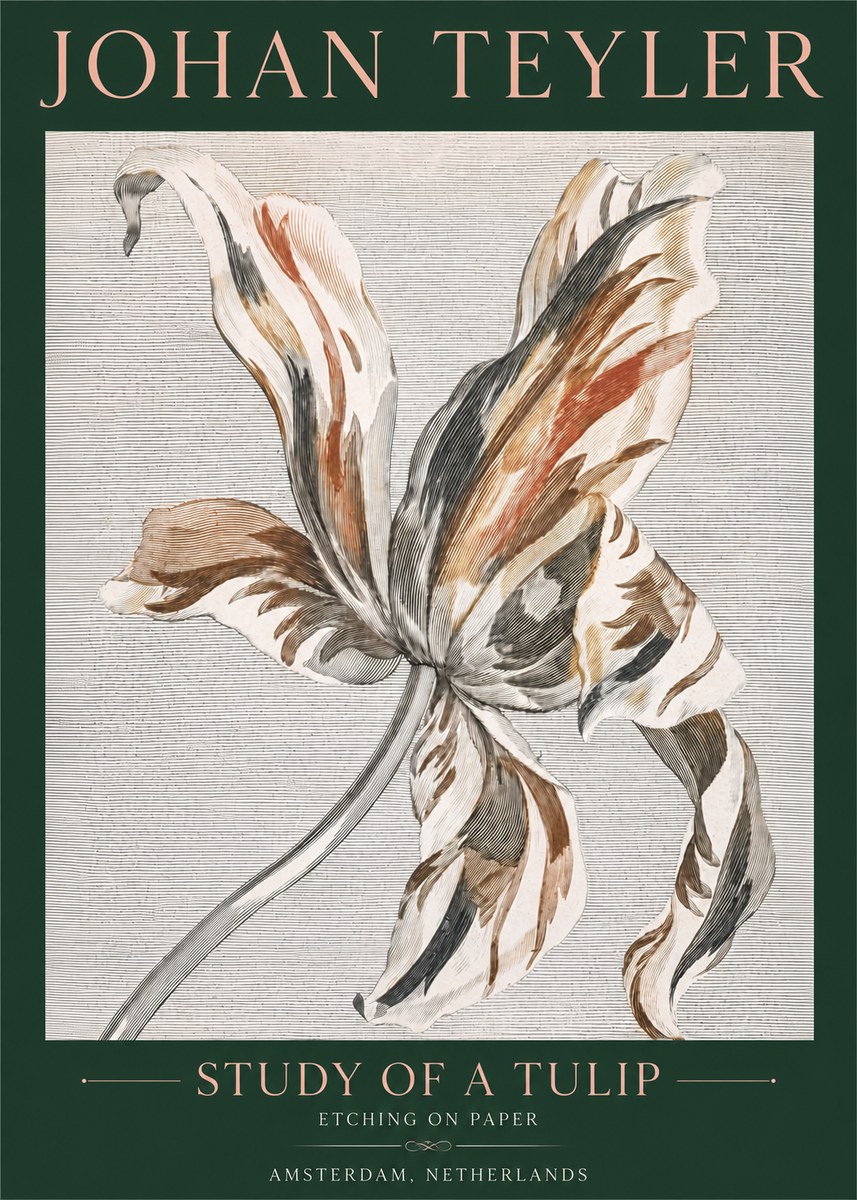 Johan Teyler Study of a Tulip No4 - Poster