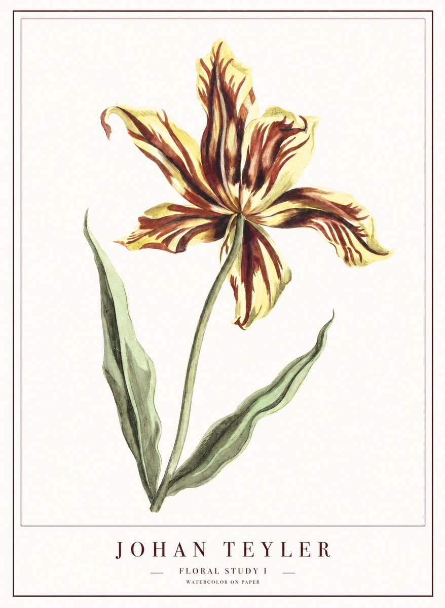 Johan Teyler Floral Study I No1 - Poster