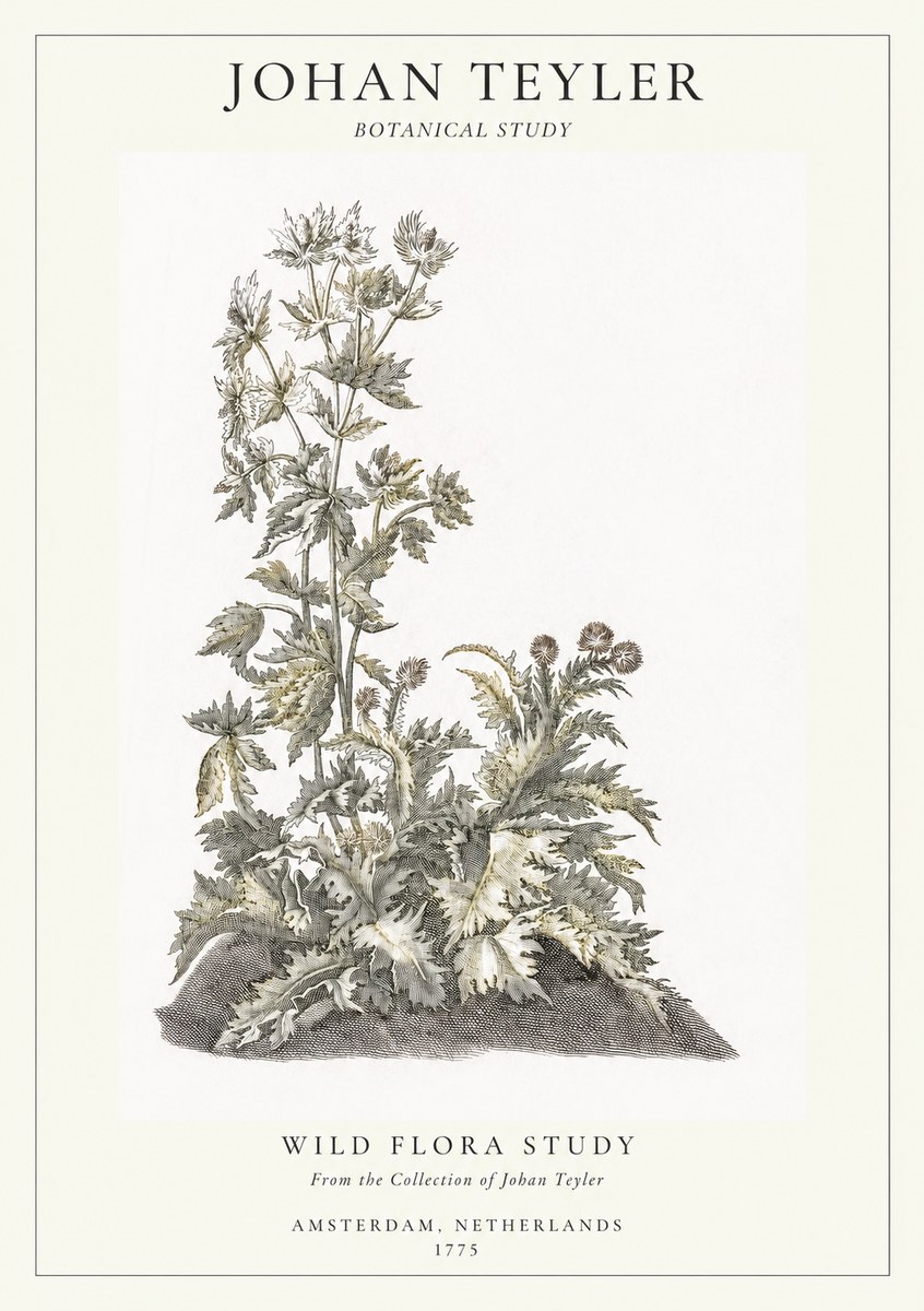 Johan Teyler Wild Flora Study No1 - Poster