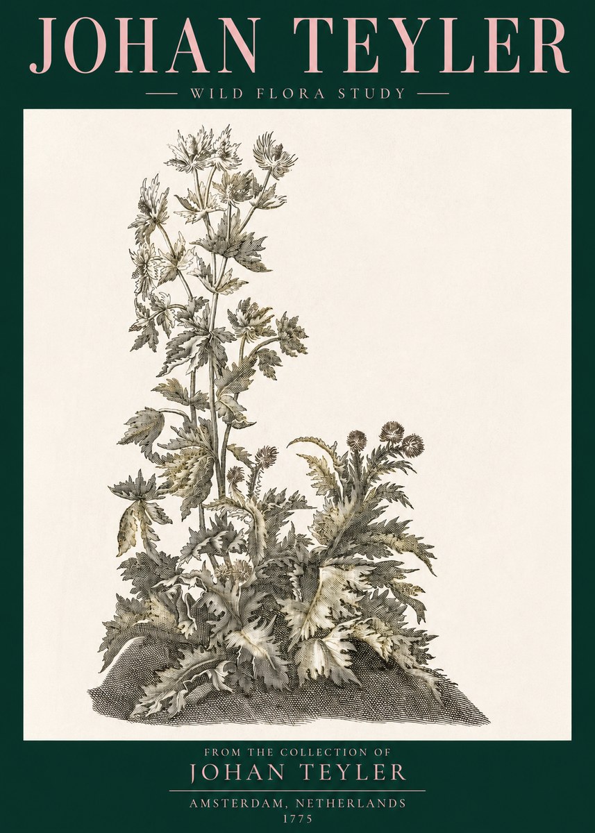Johan Teyler Wild Flora Study No3 - Poster