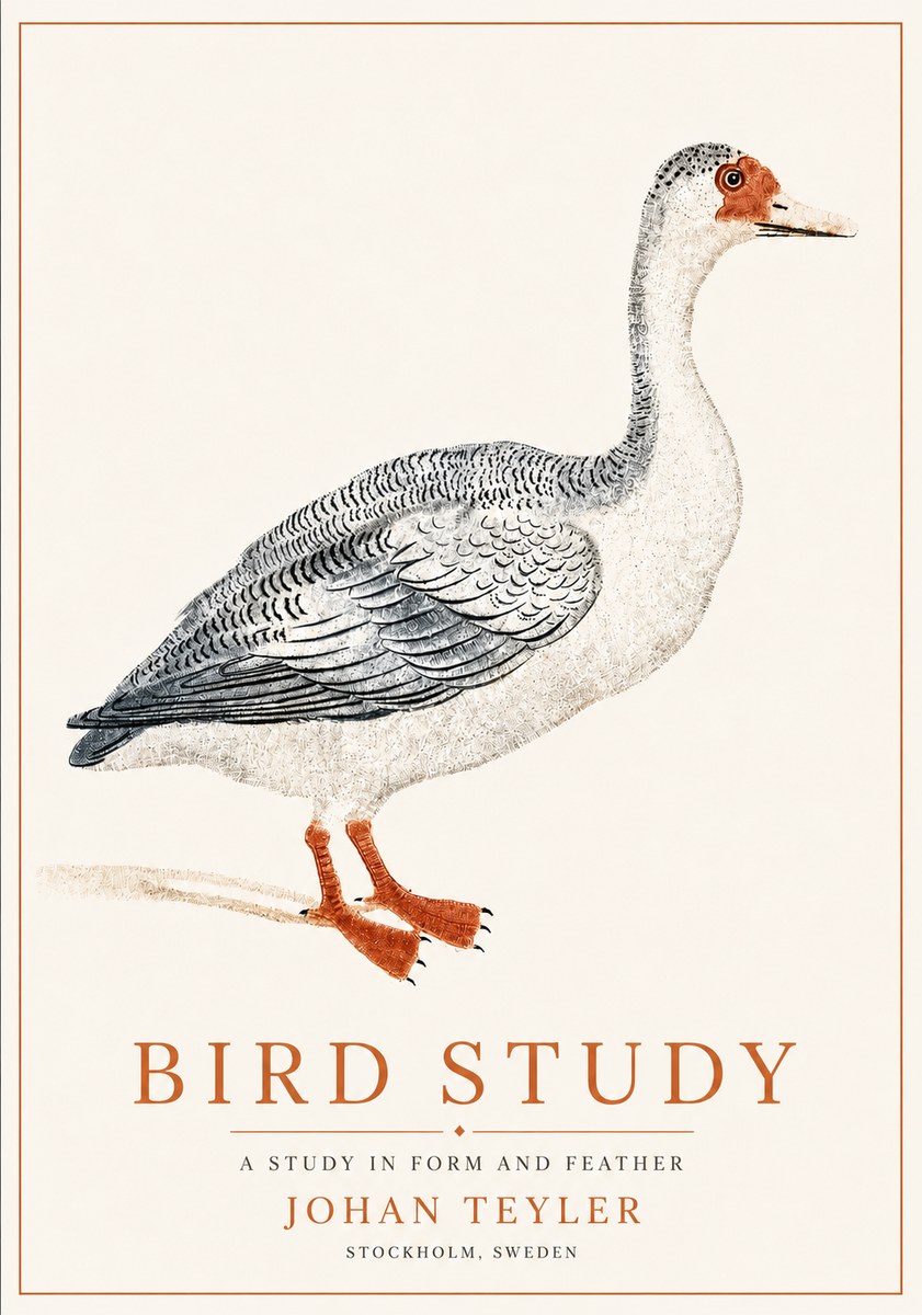 Johan Teyler Goose Study No6 - Poster