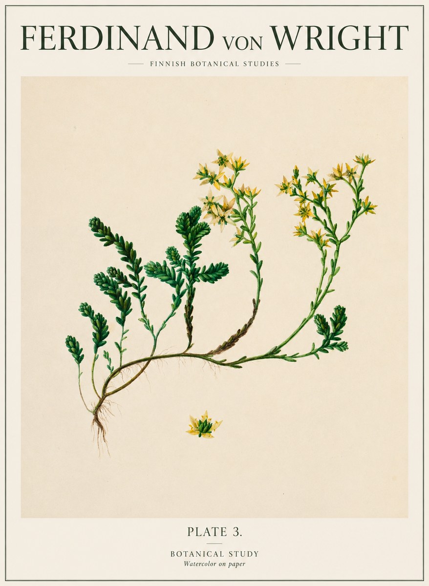 Ferdinand von Wright Botanical Study No1 - Poster