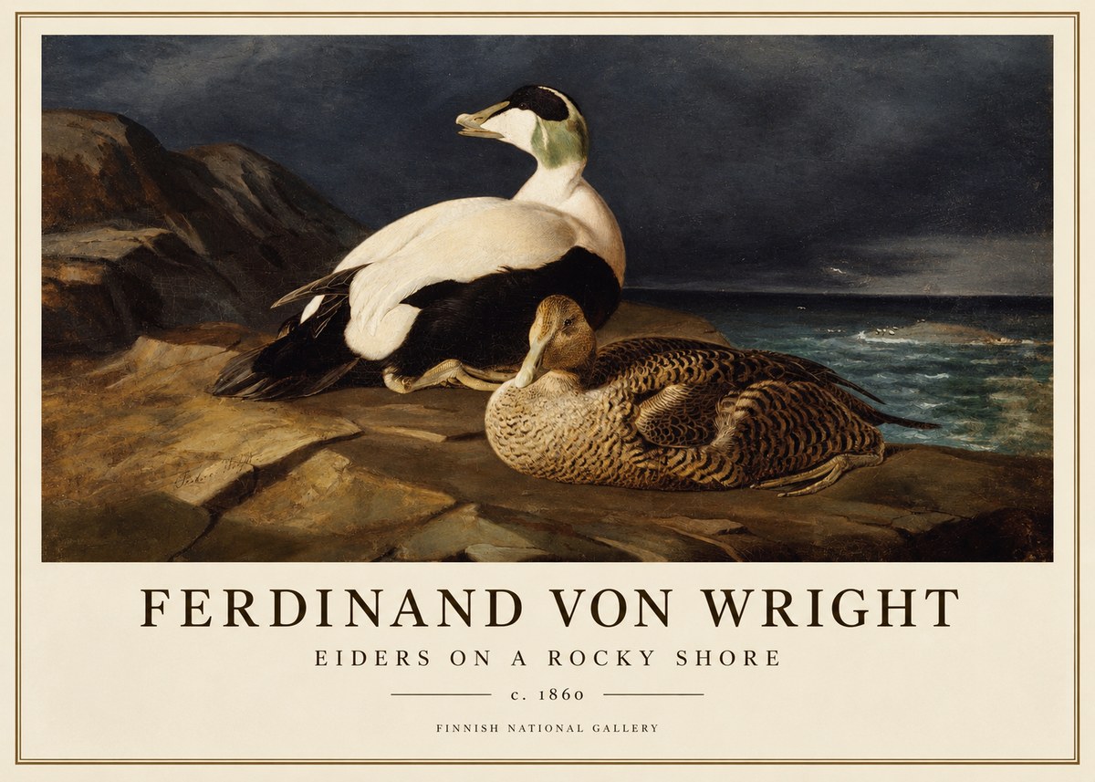 Ferdinand von Wright Eiders on a Rocky Shore No1 - Poster