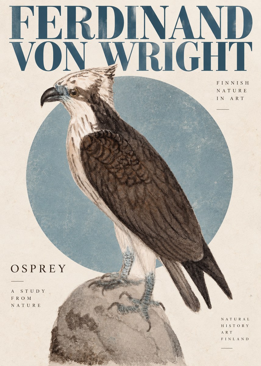 Ferdinand von Wright Osprey No4 - Poster