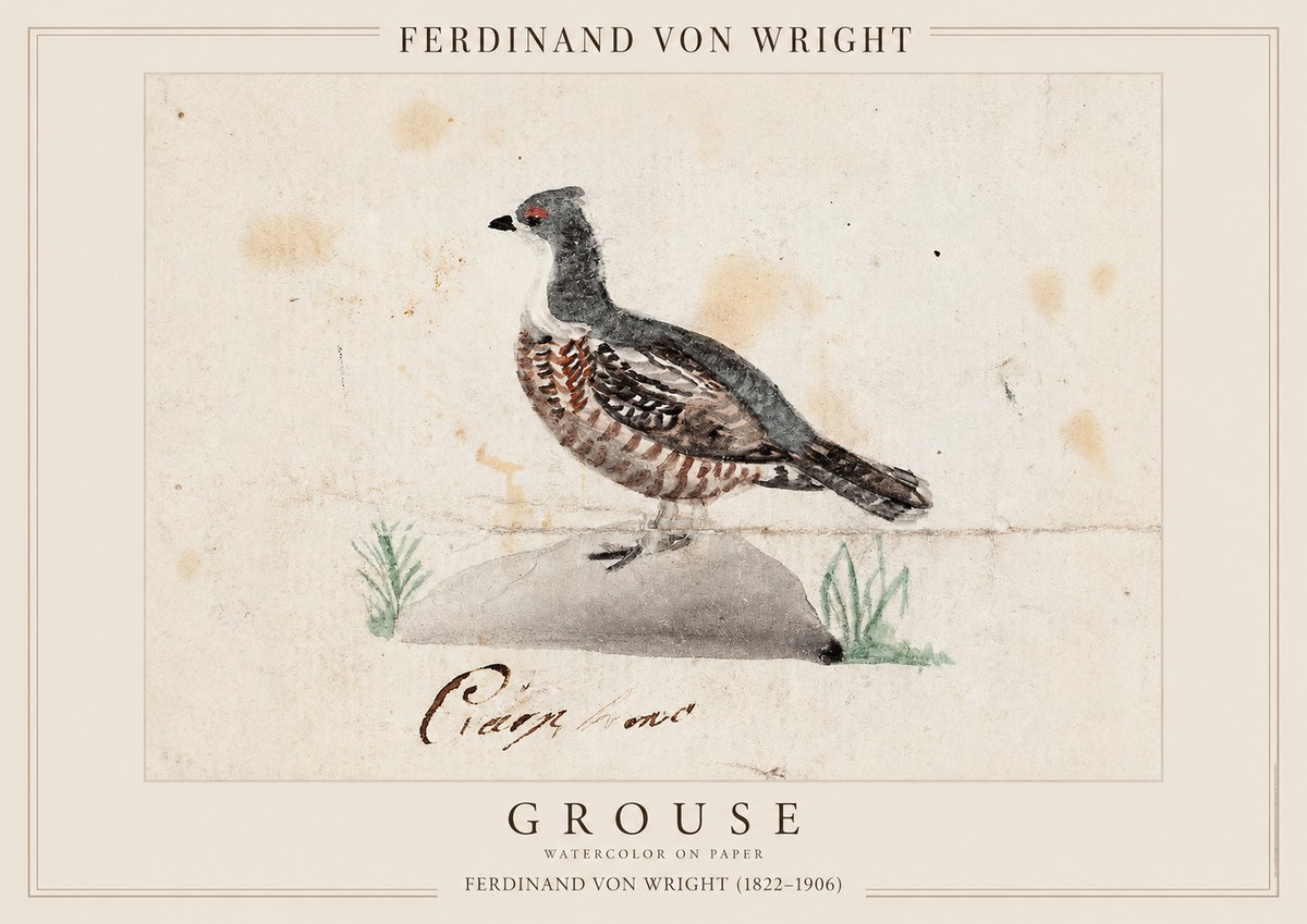 Ferdinand von Wright Grouse No1 - Poster