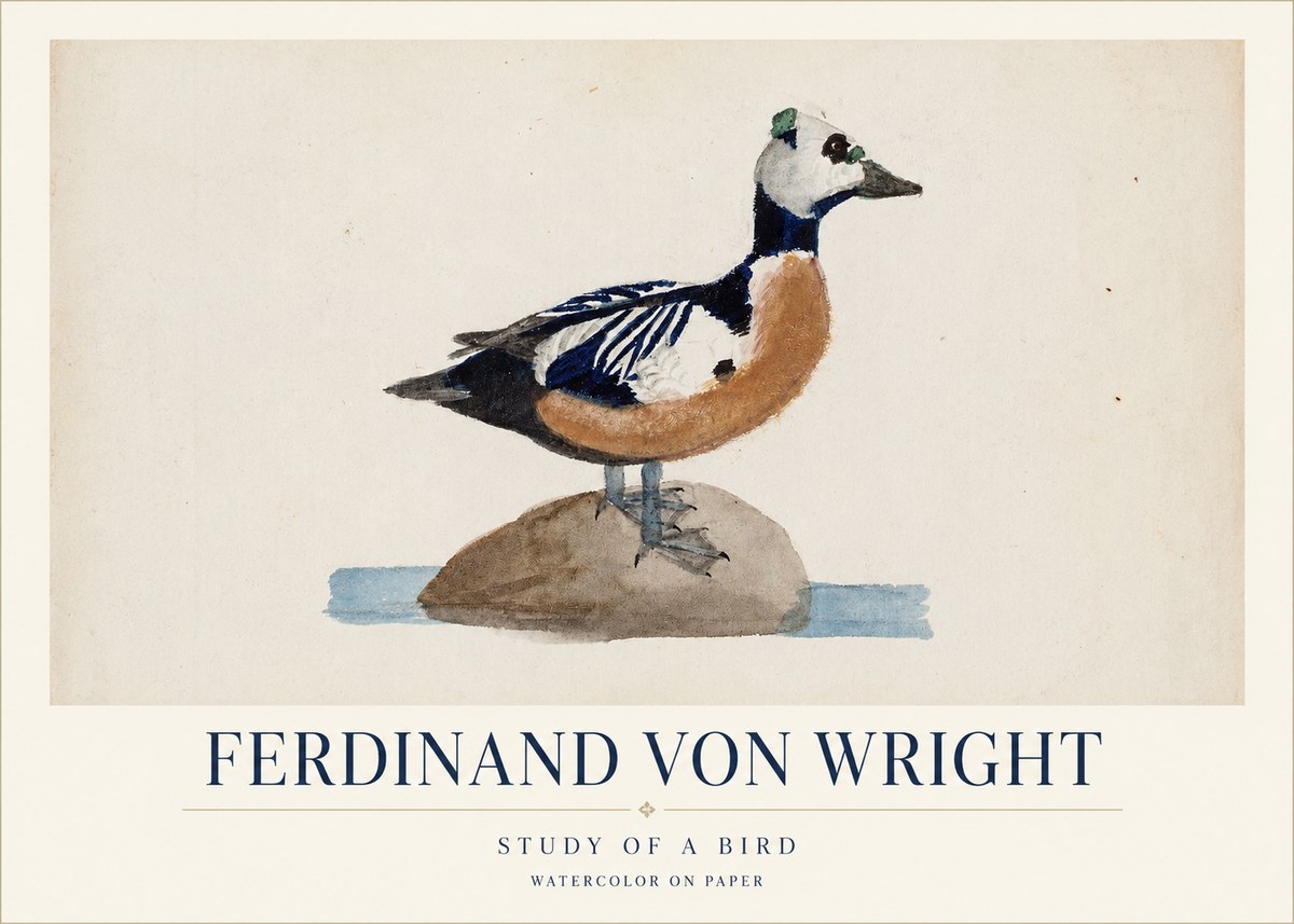 Ferdinand von Wright Study of a Bird No1 - Poster