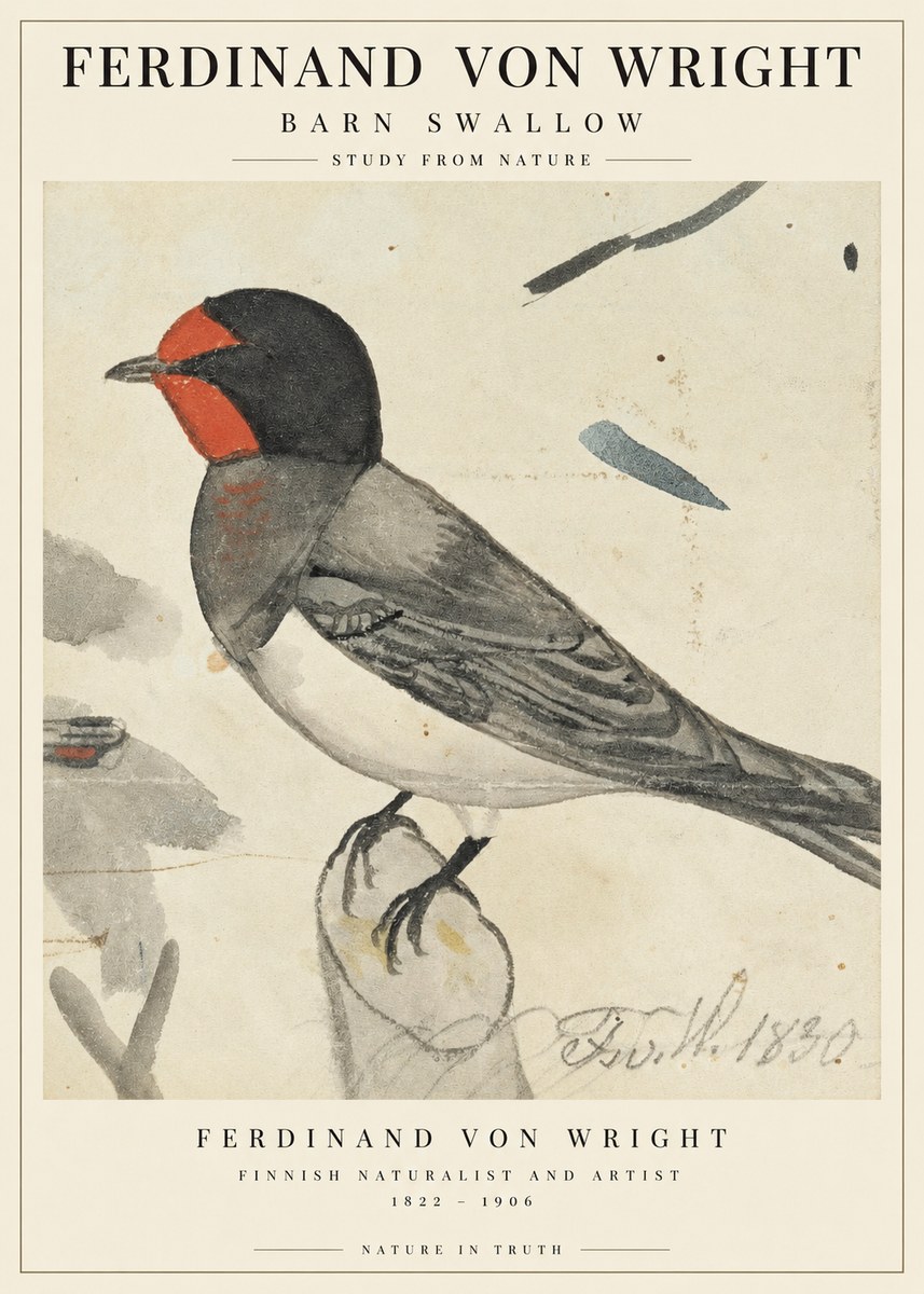 Ferdinand von Wright The Swallow No3 - Poster
