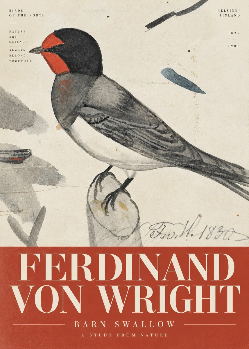 Ferdinand von Wright The Swallow No6 - Poster