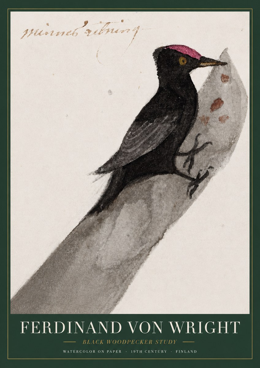 Ferdinand von Wright Black Woodpecker Study No3 - Poster